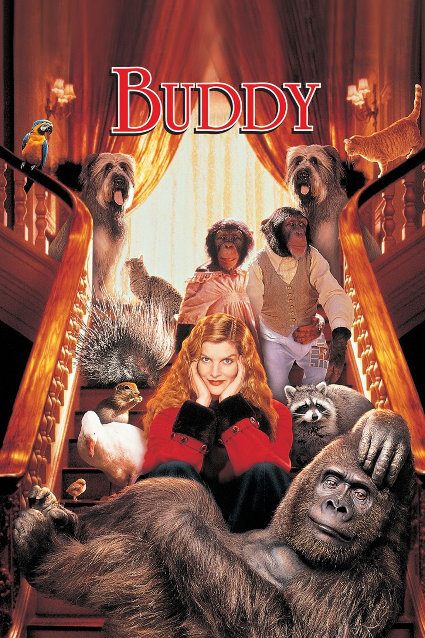Постер Buddy